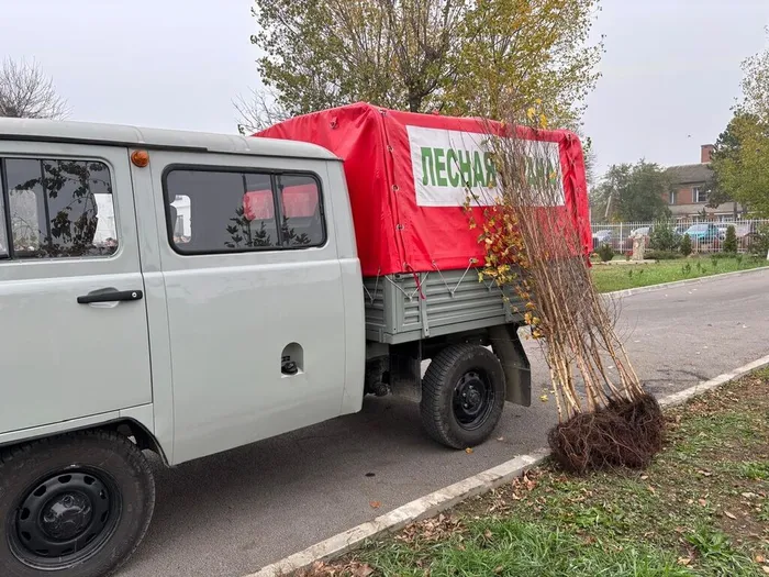 oM4HplOITFr35fT_ht6WgIn2rpP2XR4pyKRc0L8gFjFuYaq5RJ6sABIio-FIYC73NAOG3ECGeZWM7NzWhR3z7l7T