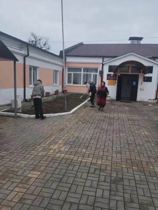 i (3)
