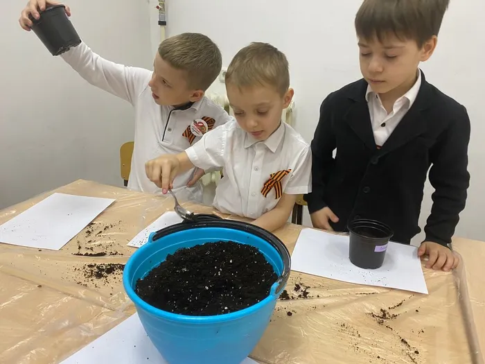 n_Y80IKnUJxya4y_BxJ_8ZXkespd86AE5-GVs759F6dsfo_Q95rVw1ozP4xJGGB0jImXdns3DwSWithBt4nw7vrz